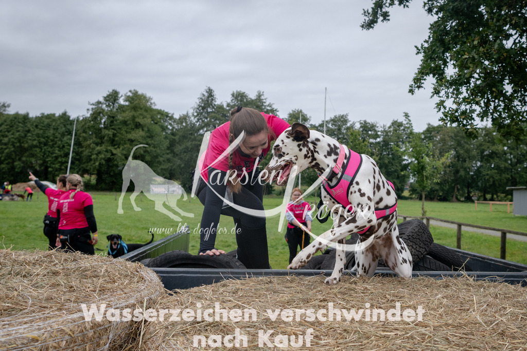1222_ZZ90373 | kk-dogfotos