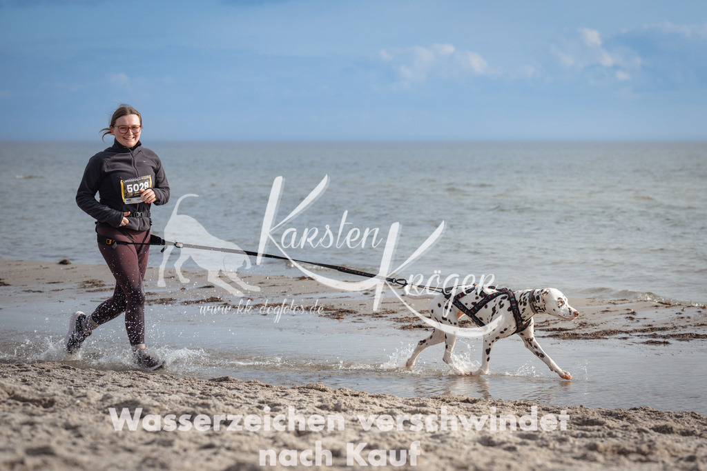 1234_ZZ97237 | kk-dogfotos