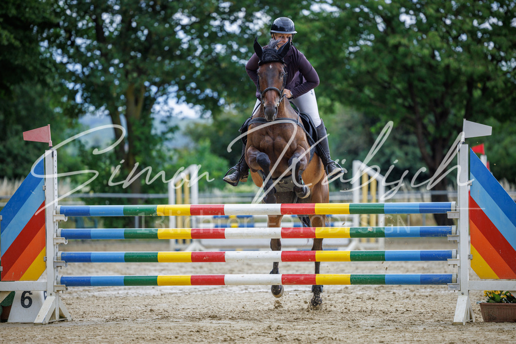 20260705-_3LI5887 | Tierfotografie Pferde, Hunde, Katzen, Haustiere.
Turnierfotografie Reitturniere, Reiten, Springreiten, Dressur in Hanau, dem Main-Kinzig-Kreis und dem Rhein-Main- Gebiet um Frankfurt