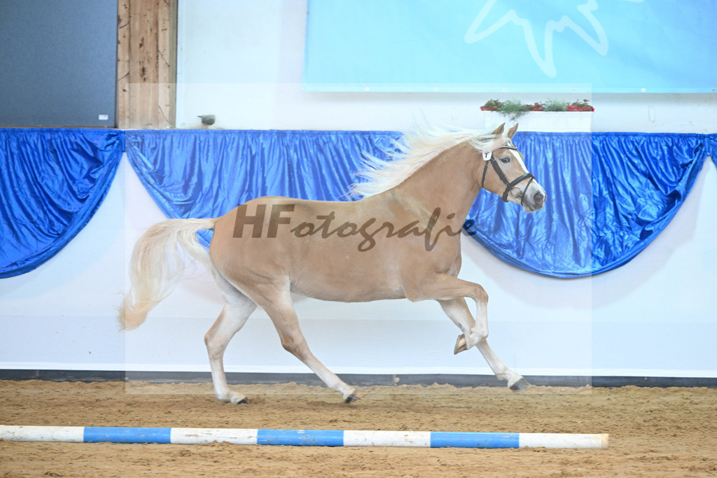 Kat-Nr. 7 Daria v. Armani Ass_Obermaier_60221117 | hf-fotografie - Realisiert mit Pictrs.com