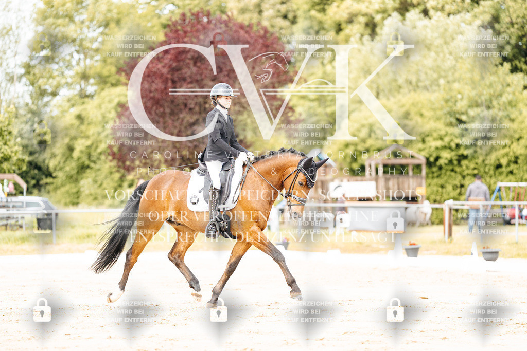 CK900851 | Turnierfotografie Pferdefotografie Trier Rheinland-Pfalz Pferdesport Reitsport Tierfotografie Sportfotografie Pferdevideo Pferdevideografie Equestrianvideography equestrianphotography  - Realisiert mit Pictrs.com