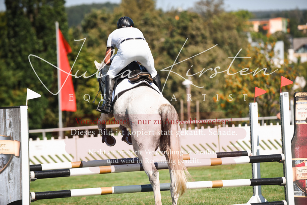 DSC_2697 | Pferde- und Turnierfotografie in Westsachsen. Pferdeportraits, Auftragszeichnungen und intuitive Kunst.