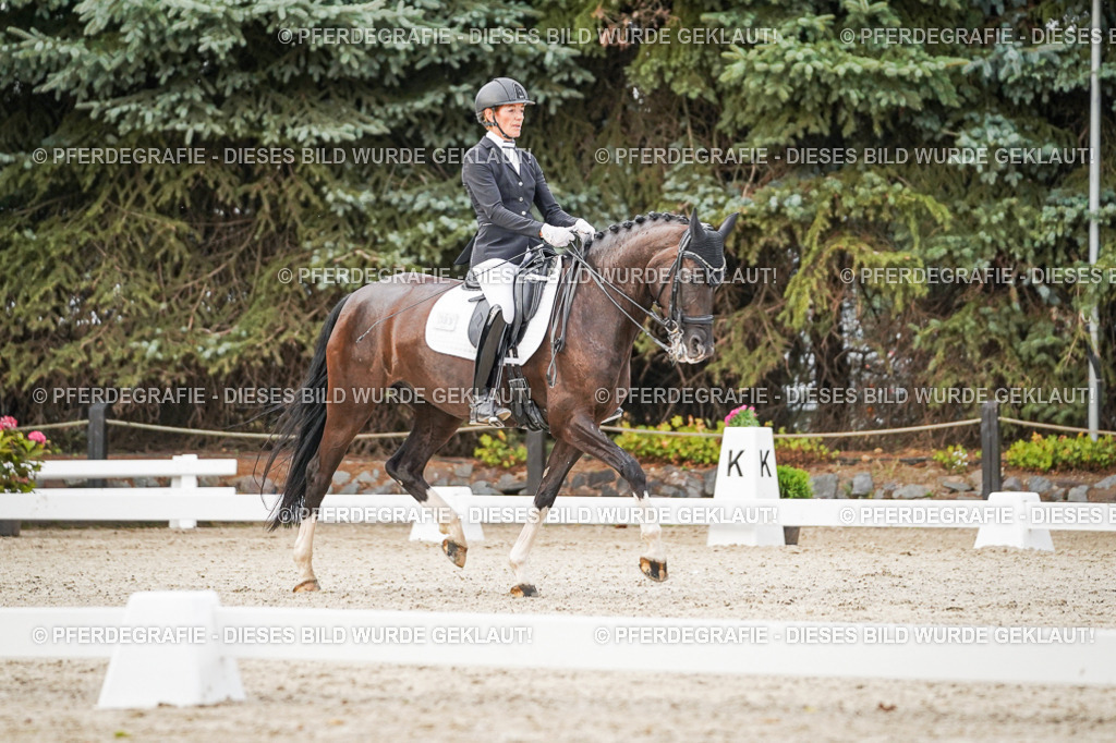 DSC08894 | Pferdegrafie