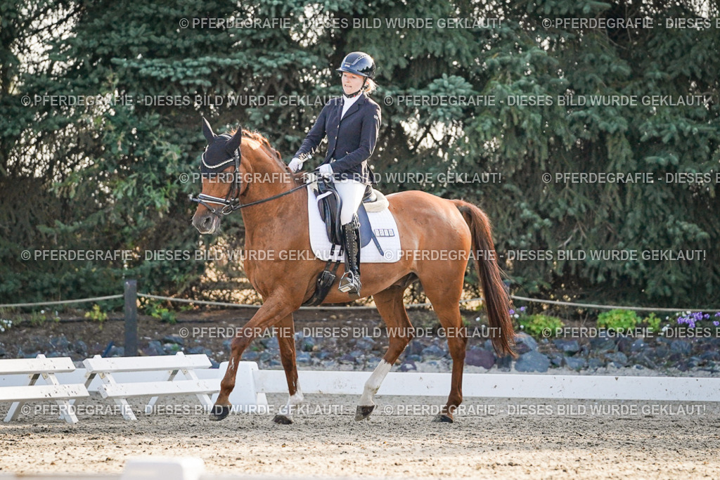 DSC08041 | Pferdegrafie