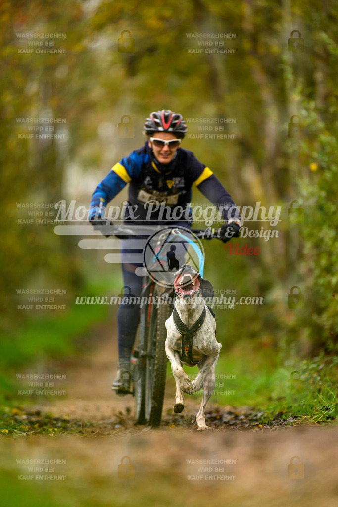 MompixPhotography_20TSB_E6_Bike-70 | PayLife