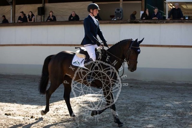 2B4A0623 | pixelfaenger - Realisiert mit Pictrs.com