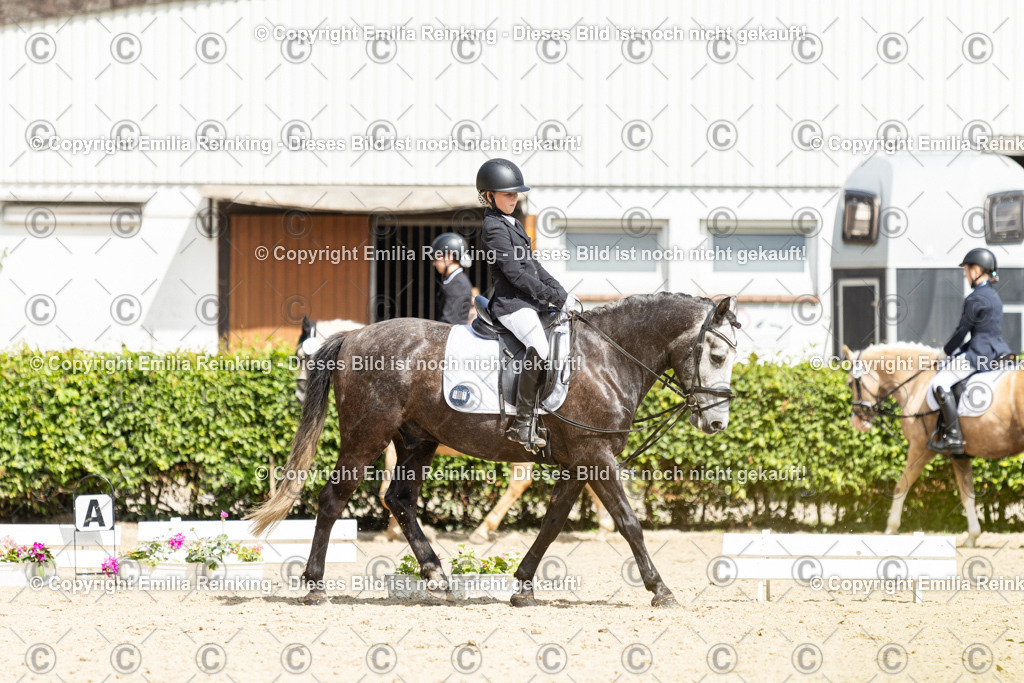 CL5A1178 | Emilia Reinking Fotografie - Realisiert mit Pictrs.com