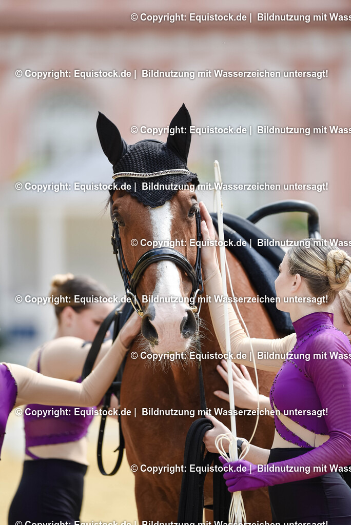 20250608_CVI-Masterclass_1139 | Foto: Thomas Hartig