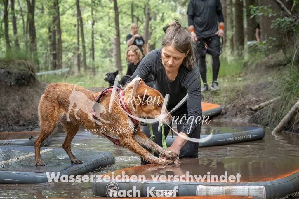 1221_ZZ98654T | kk-dogfotos