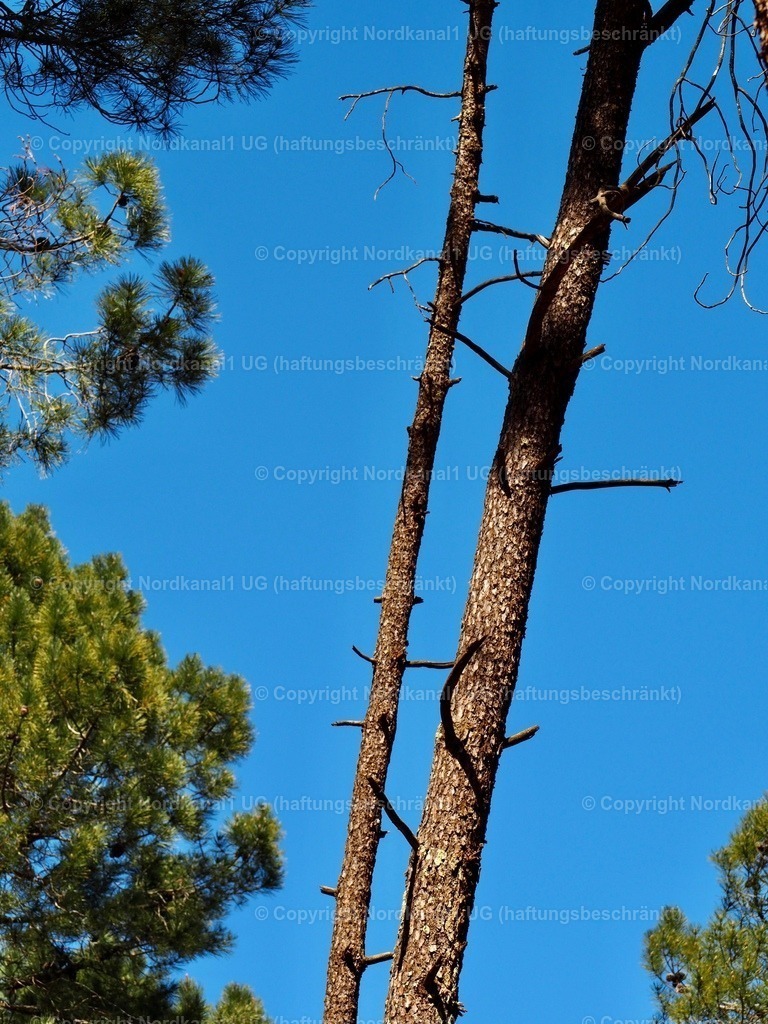 IMG_2938 | OLYMPUS DIGITAL CAMERA          - Realisiert mit Pictrs.com