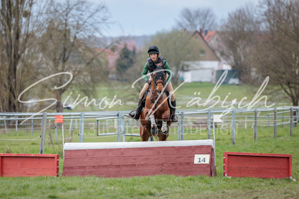 20260329-_3LI5039 | Tierfotografie Pferde, Hunde, Katzen, Haustiere.
Turnierfotografie Reitturniere, Reiten, Springreiten, Dressur in Hanau, dem Main-Kinzig-Kreis und dem Rhein-Main- Gebiet um Frankfurt