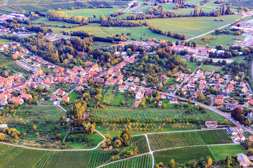 Vue aérienne: Vue de la ville depuis le sud-est à Eichhoffen dans le département Bas Rhin, France – .Photo: IMG_137948.jpg prise le 19/08/2023 par Werner Riehm/FLY-FOTO.eu – Résolution de l'original: 5239 x 3493 px