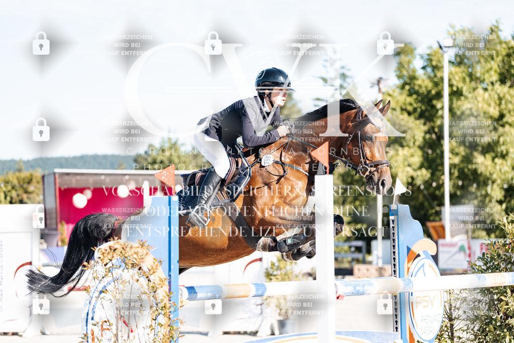 CK904287 | Turnierfotografie Pferdefotografie Trier Rheinland-Pfalz Pferdesport Reitsport Tierfotografie Sportfotografie Pferdevideo Pferdevideografie Equestrianvideography equestrianphotography  - Realisiert mit Pictrs.com