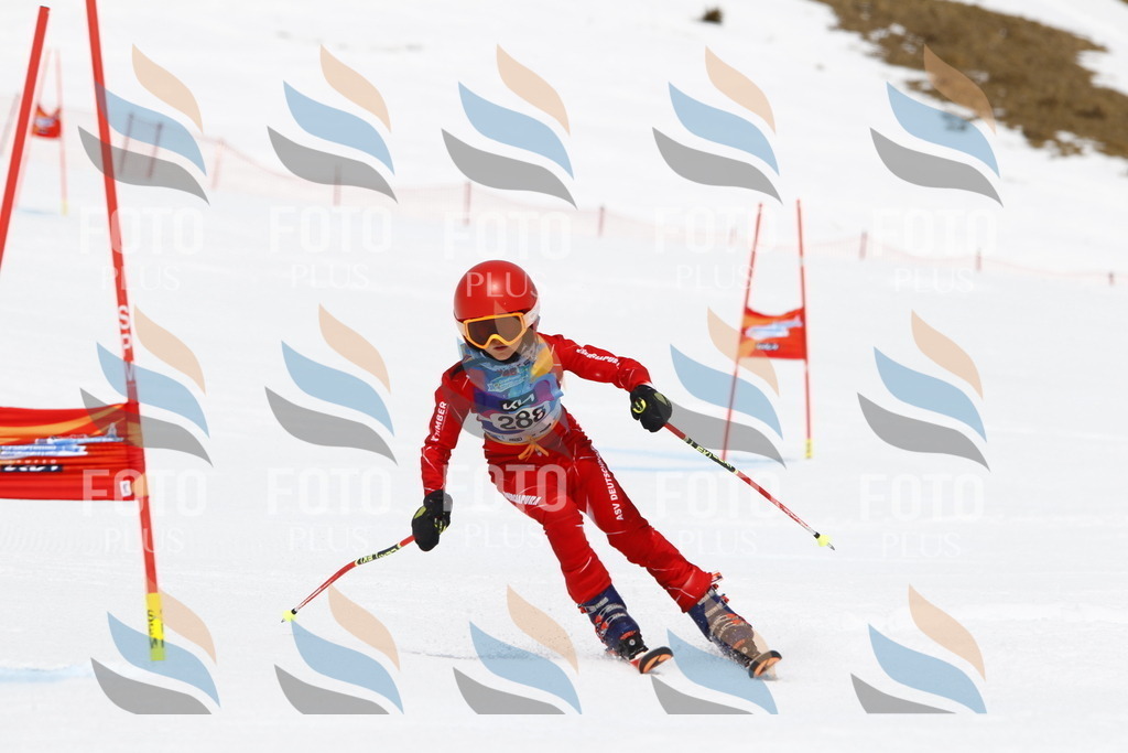 _U3G7221 | holidayphoto