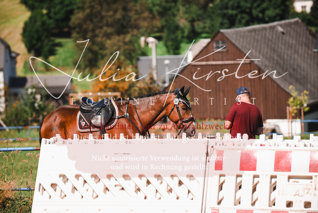 DSC_2685 | Pferde- und Turnierfotografie in Westsachsen. Pferdeportraits, Auftragszeichnungen und intuitive Kunst.