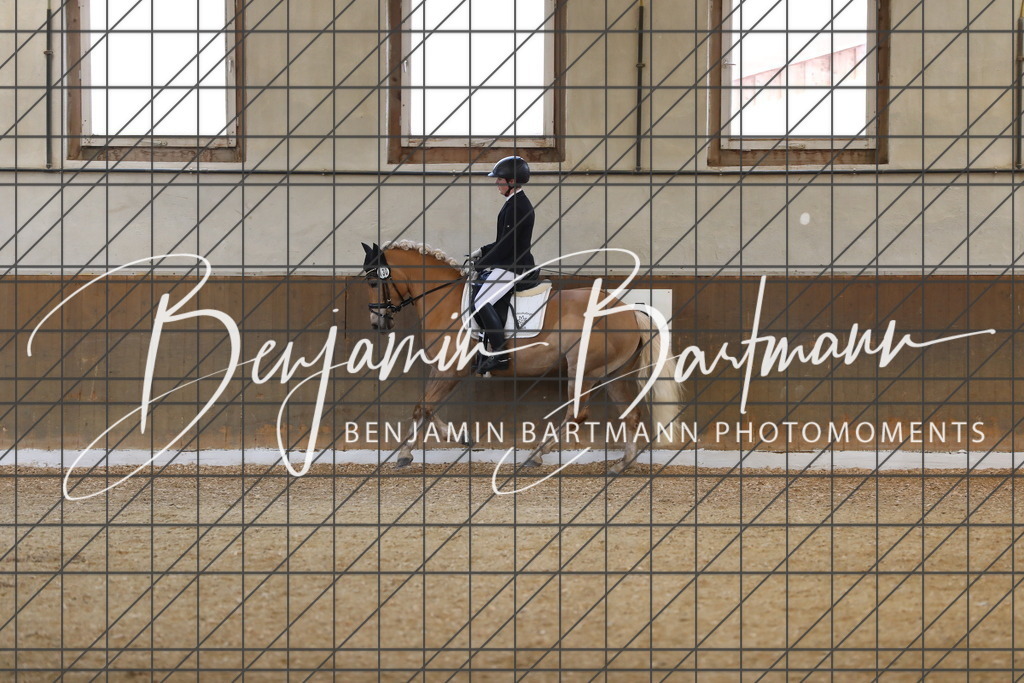 AZ2A8056 | Benjamin Bartmann Photomoments