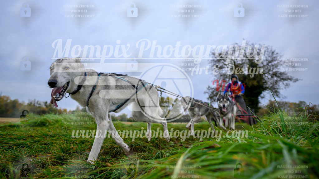 MompixPhotography_CDLBDB2025_DI_Kart-29 | PayLife
