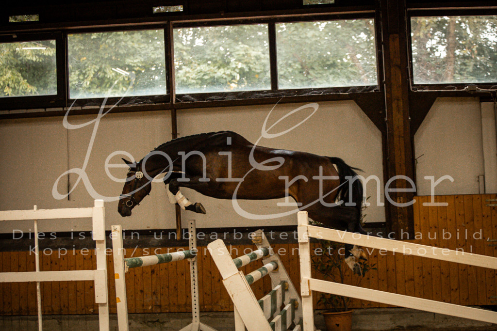 1FS_L00025 | Leoni Ertmer Photography - Realisiert mit Pictrs.com