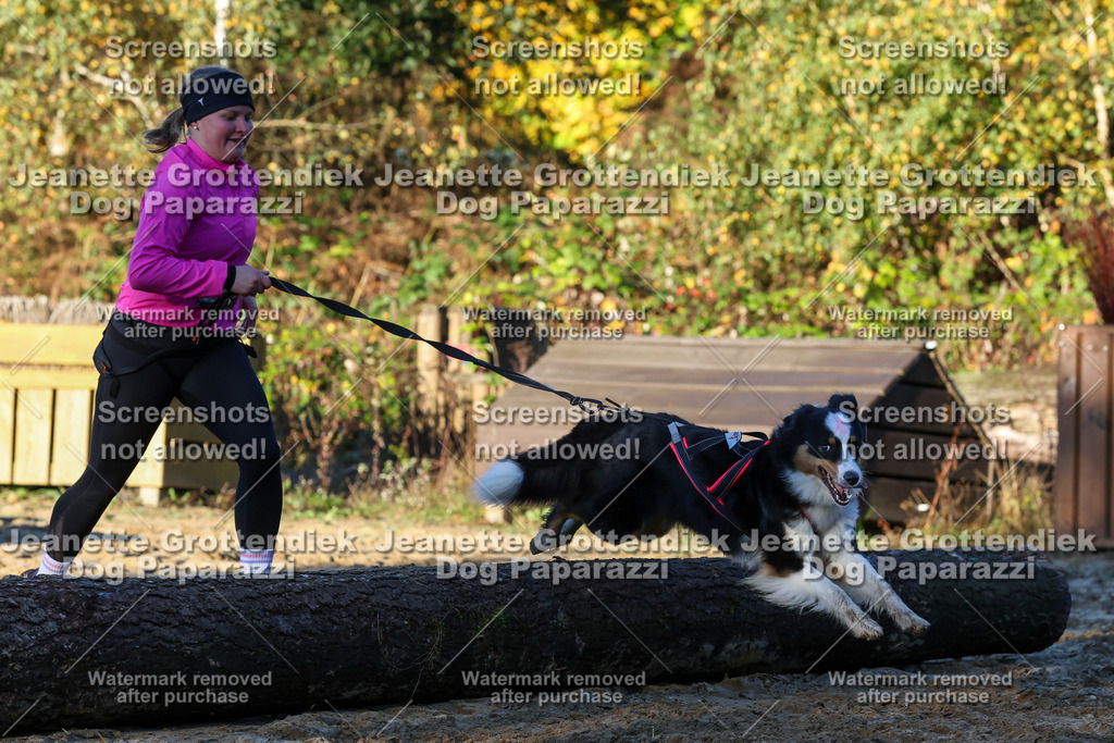 Dog Paparazzi - Strongdog 10-25-890 | Dog Paparazzi Jeanette Grottendiek Fotografie & Videografie - Realisiert mit Pictrs.com