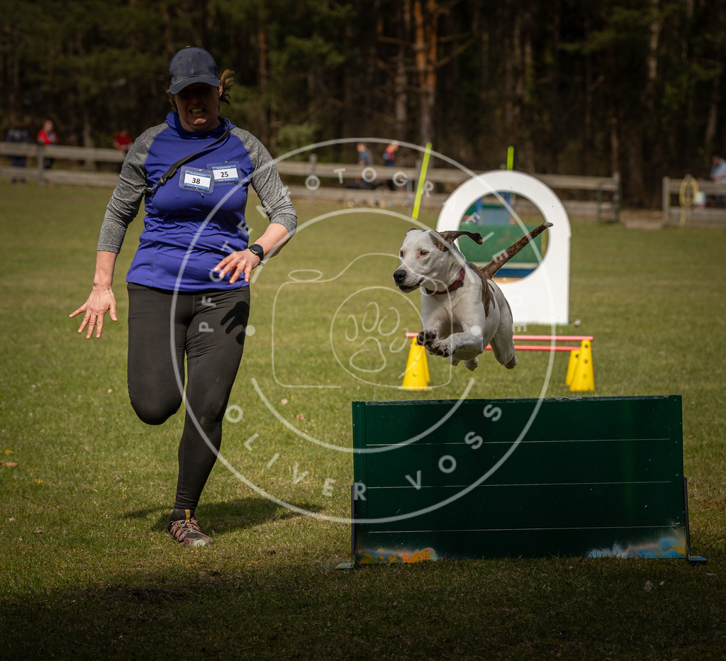 Pfotenfotografie_DV3A5599 | Hundefotografie, Tierfotograf, Pfotenfotografie, Fotoshooting Hund, Hunde Portrait, Hundesport, Hundeportraits, Heideshooting, Hunde, Sportfotograf, Hundefotograf, Turnierhundsport, THS,  - Realisiert mit Pictrs.com
