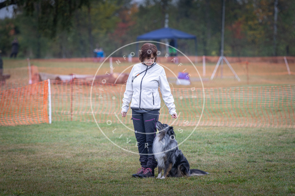 Pfotenfotografie_DV3A8988 | Hundefotografie, Tierfotograf, Pfotenfotografie, Fotoshooting Hund, Hunde Portrait, Hundesport, Hundeportraits, Heideshooting, Hunde, Sportfotograf, Hundefotograf, Turnierhundsport, THS,  - Realisiert mit Pictrs.com