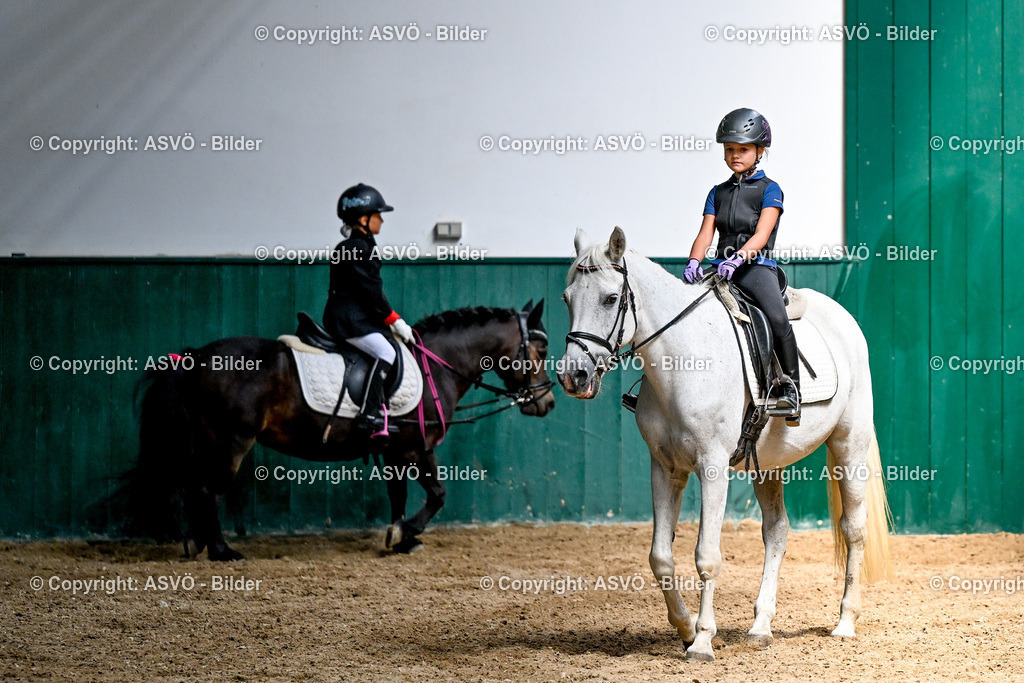 ASVÖ_ Reiten Bezirksmeisterschaft_ 24.08.2025-71 | 24.08.2025, AUT, ASVÖ, Reiten Bezirksmeisterschaft 2025Dressur und Springreiten©fodo.media / Harald Dostal - Realisiert mit Pictrs.com