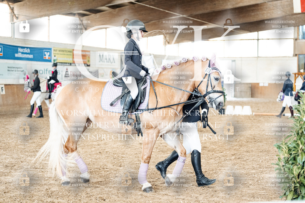 CK905752 | Turnierfotografie Pferdefotografie Trier Rheinland-Pfalz Pferdesport Reitsport Tierfotografie Sportfotografie Pferdevideo Pferdevideografie Equestrianvideography equestrianphotography  - Realisiert mit Pictrs.com