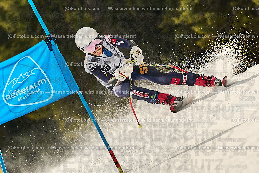 _WWO3632_MASTERS-WM_Reiteralm_CD-SG_Ortner Helena_ORTNER Helena | FISWORLD CHAMPIONSHIPSMASTERS ALPINE SKIING, 23. – 28. MÄRZ 2026 - REITERALM | STMK | AUT.   Veranstaltet vom Masters-Referat des Deutschen Skiverbandes (DSV). Durchführende Organisation: WSV Pichl-Reiteralm, unterstütutzt von den Bergbahnen REITERALM bei Schladming und SKI AUSTRIA.                            Disziplinen:  Super-G, GiantSlalom, Slalom.                                                 Kategorien:  A (Herrn 30-59 Jahre), B (Herrn ab 60 Jahre), C (Damen 30-59 Jahre), D (Damen ab 60 Jahre).                Rennstrecken:   Gasselhöhe und Muldenliftpiste auf der Reiteralm.