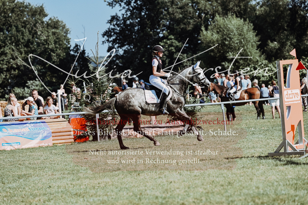 DSC_6558 | Pferde- und Turnierfotografie in Westsachsen. Pferdeportraits, Auftragszeichnungen und intuitive Kunst.