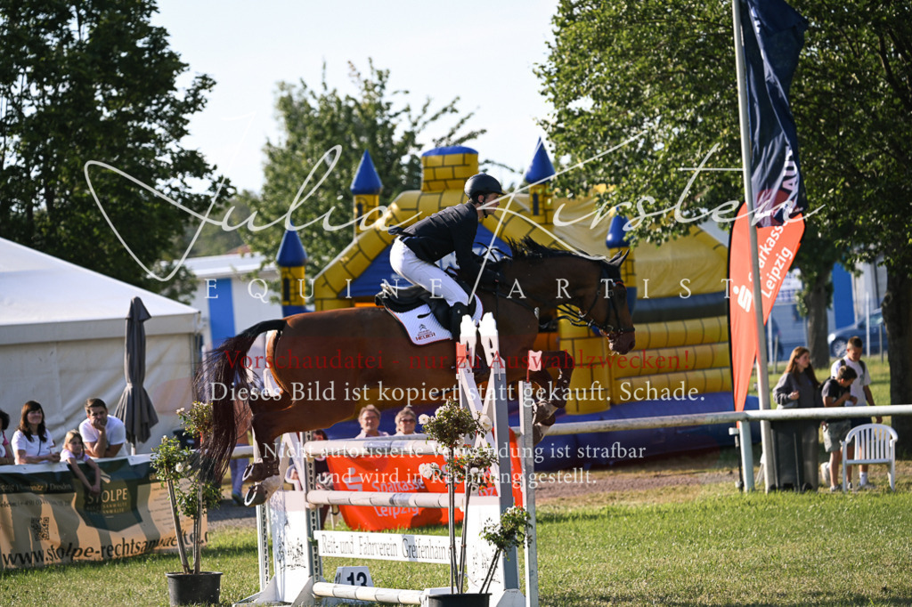 DSC_1708 | Pferde- und Turnierfotografie in Westsachsen. Pferdeportraits, Auftragszeichnungen und intuitive Kunst.
