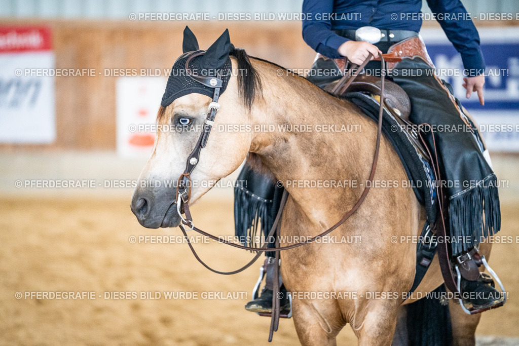 DSC03460 | Pferdegrafie