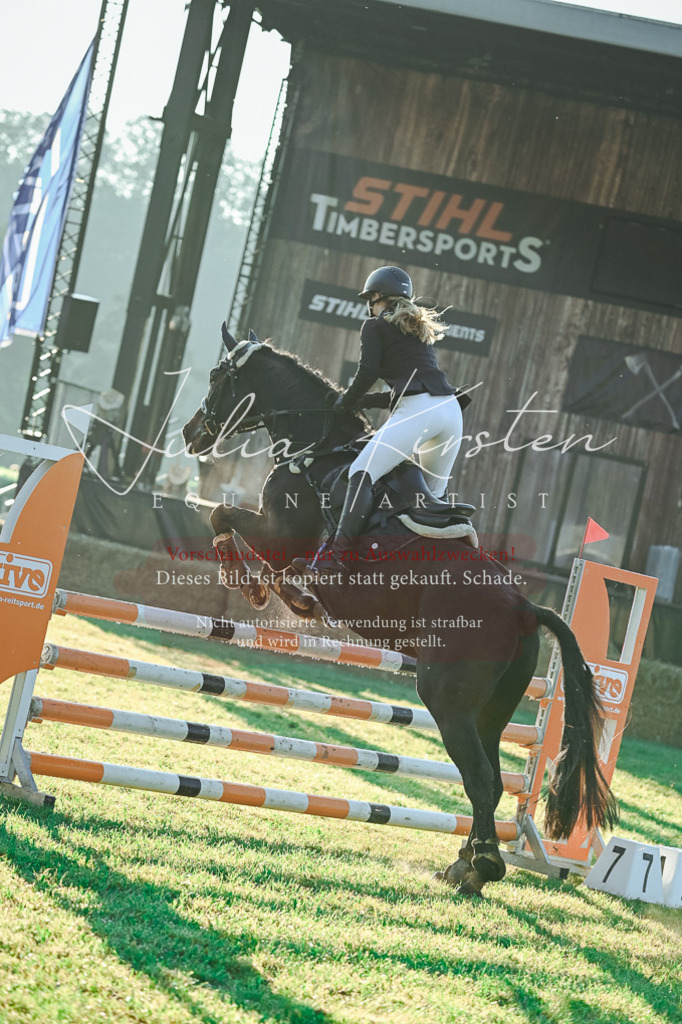 DSC_3871 | Pferde- und Turnierfotografie in Westsachsen. Pferdeportraits, Auftragszeichnungen und intuitive Kunst.