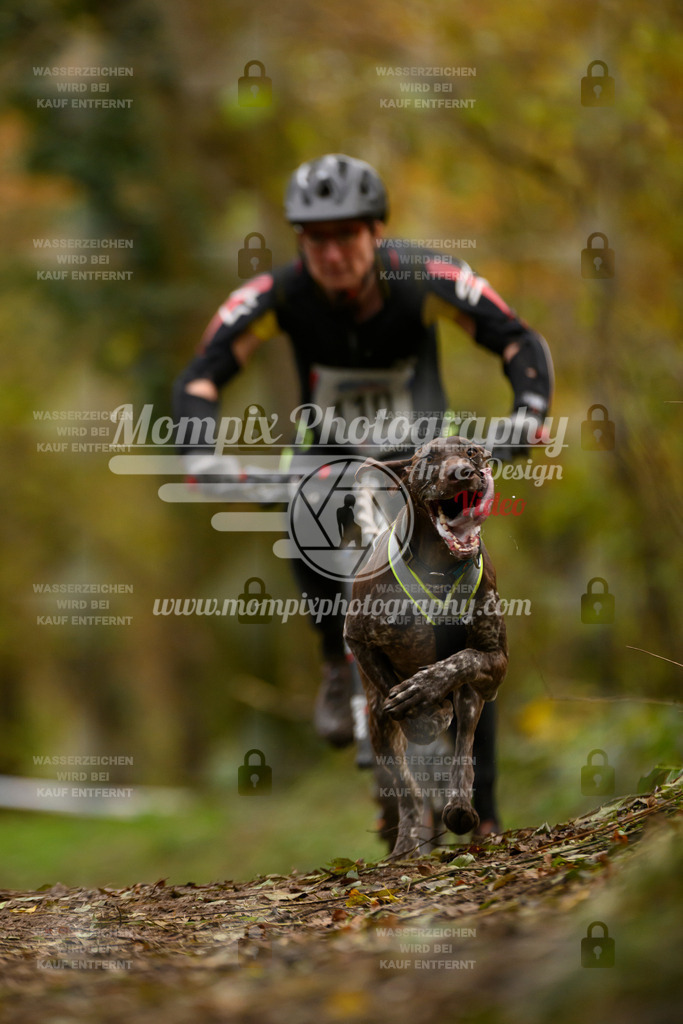 MompixPhotography_Bischwiller24_SA_VTT-12 | PayLife