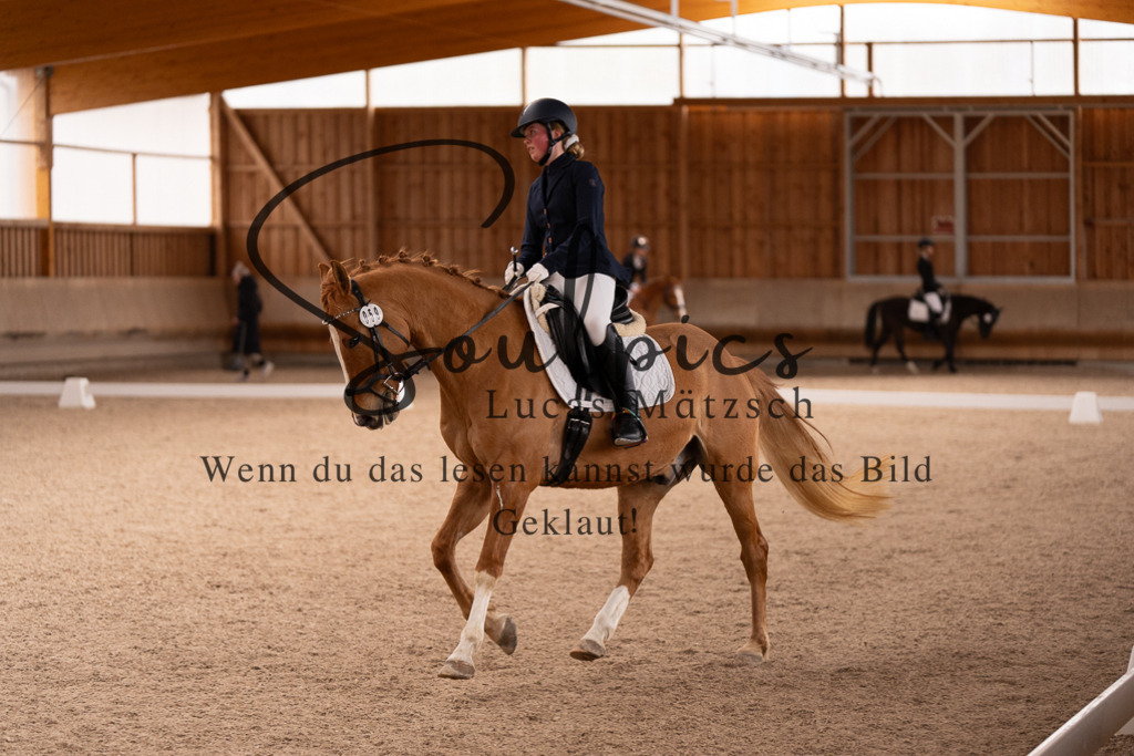A7506909 | Turnier/Reitfotograf