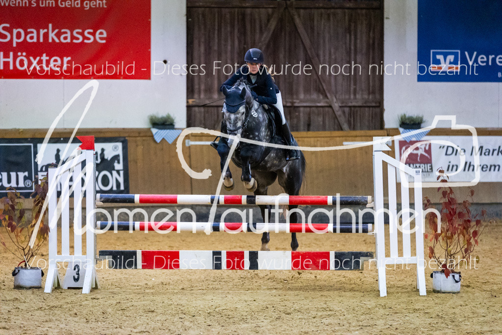 Sth-L-Springen-054 | MomenTaufnahmen Pferdesportfotos