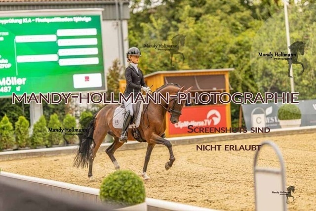 28-8-26 5j DRE-577 | mandyhollmannphotographie