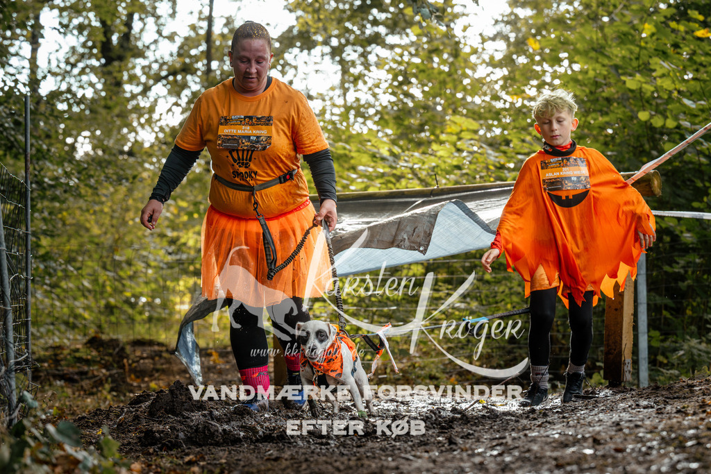 1459DZ6_4178Z6 | kk-dogfotos