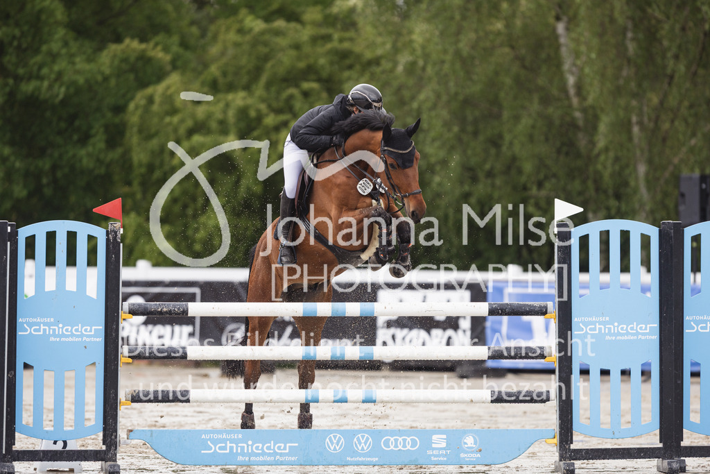 2605_MayDays_8_Youngster-M1-801 | Deine schönsten Turniermomente als professionelle Fotos! Entdecke hochwertige Pferdesport-Fotografie im Online-Shop. Jetzt Fotos finden & bestellen!