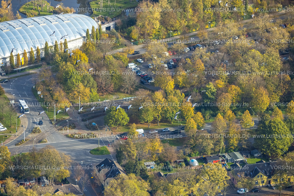 Gelsenkirchen221101836suedlich | Luftbild, Kraniche über dem Zoo ZOOM Erlebniswelt, zigarrenförmige Halle Tropenparadies, Bismarck, Gelsenkirchen, Ruhrgebiet, Nordrhein-Westfalen, Deutschland
