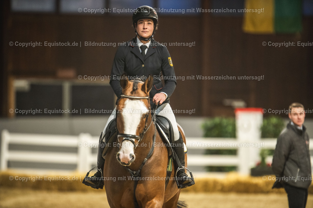 20240302_Hengstvorstellung_Marbach_TOMsPiC_0486-2 | equistock