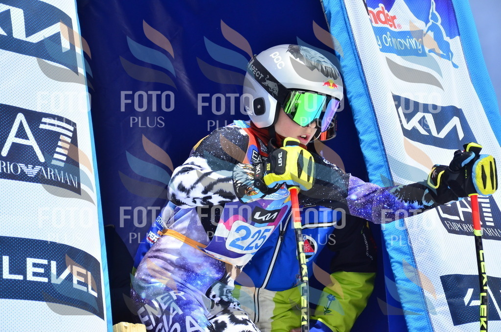 _ELE1594 | holidayphoto