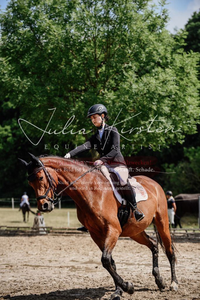 DSC_0976 | Pferde- und Turnierfotografie in Westsachsen. Pferdeportraits, Auftragszeichnungen und intuitive Kunst.