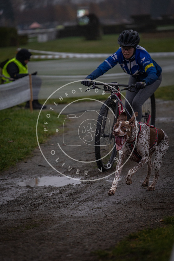 CaniXpix_0L8A0329 | Hundefotografie, Tierfotograf, Pfotenfotografie, Fotoshooting Hund, Hunde Portrait, Hundesport, Hundeportraits, Heideshooting, Hunde, Sportfotograf, Hundefotograf, Turnierhundsport, THS,  - Realisiert mit Pictrs.com