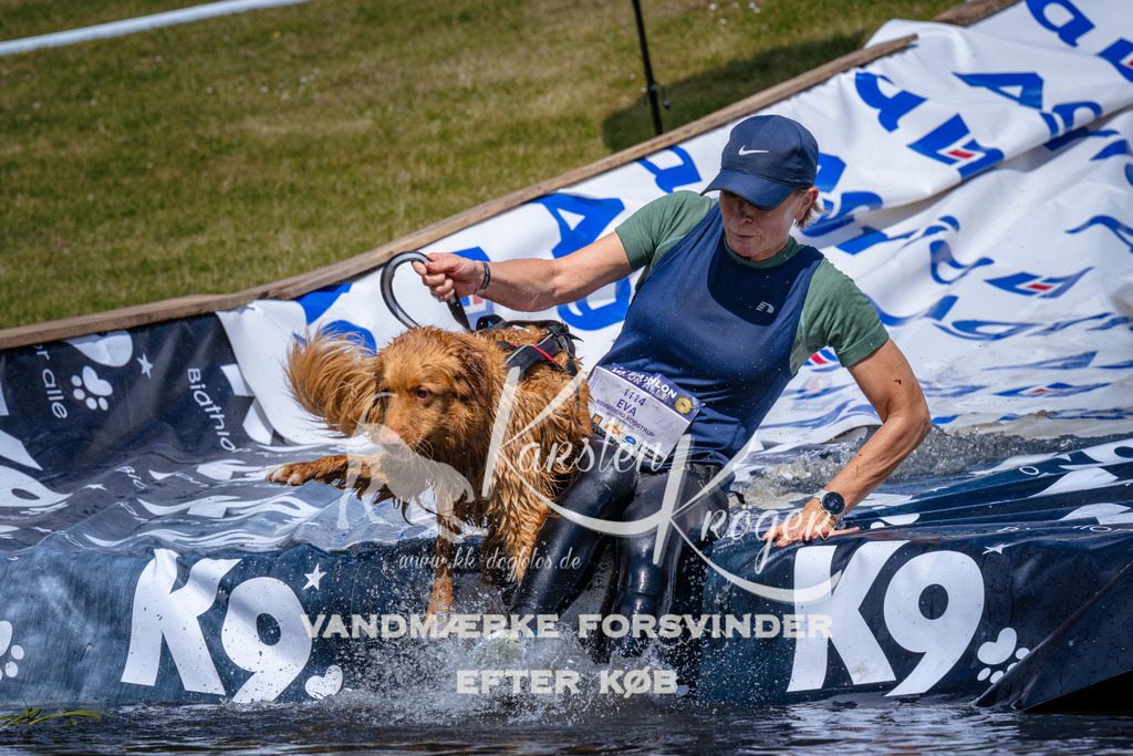 _ZZ958721011 | kk-dogfotos