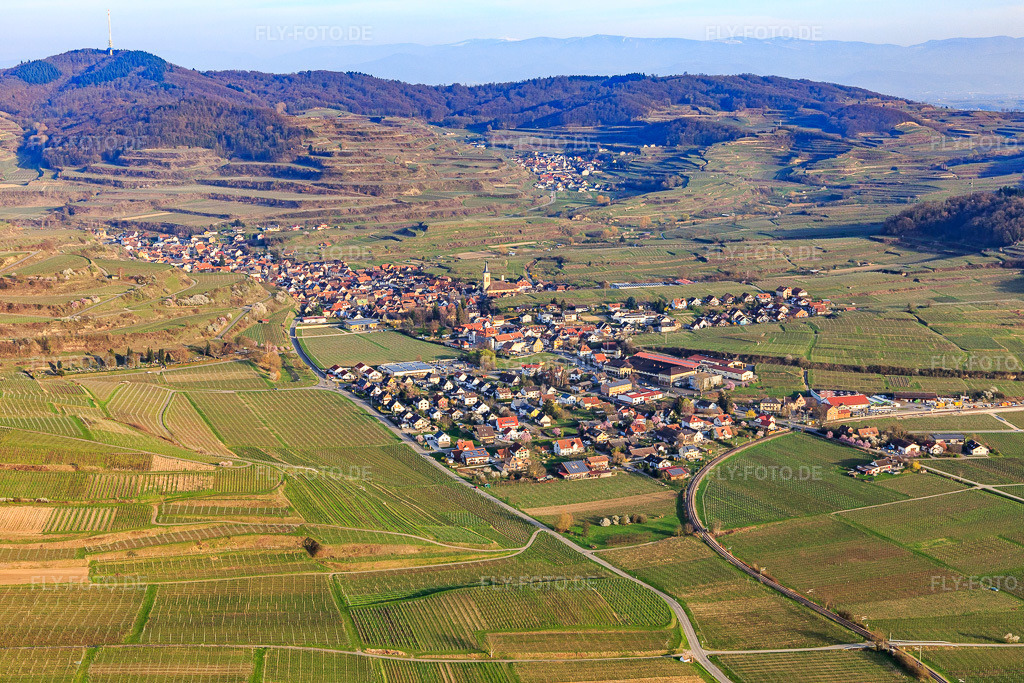 Luftbild: Winzerdorf am Kaiserstuhl aus Westen im Ortsteil Oberrotweil in Vogtsburg im Bundesland Baden-Württemberg in Deutschland. Foto: IMG_113152.jpg vom 22.03.2019 durch Werner Riehm/FLY-FOTO.de