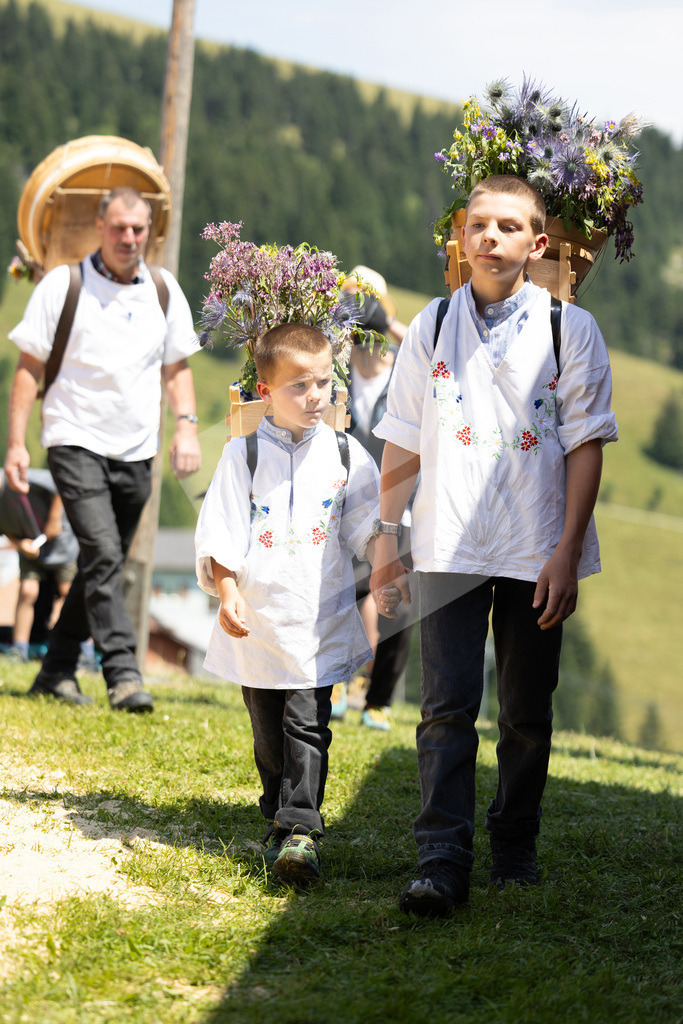 Rigi2025_2120 | Die Schwinger des Schwyzer Kantonalen Schwingerverbandes: Fotos, die Dynamik und Leidenschaft festhalten, sowie emotionale Momente aus dem traditionellen Schwingsport zeigen. - Realisiert mit Pictrs.com