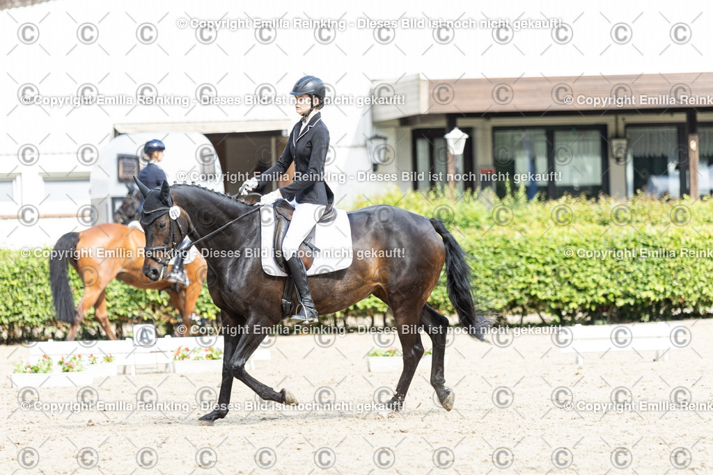 CL5A6177-2 | Emilia Reinking Fotografie - Realisiert mit Pictrs.com