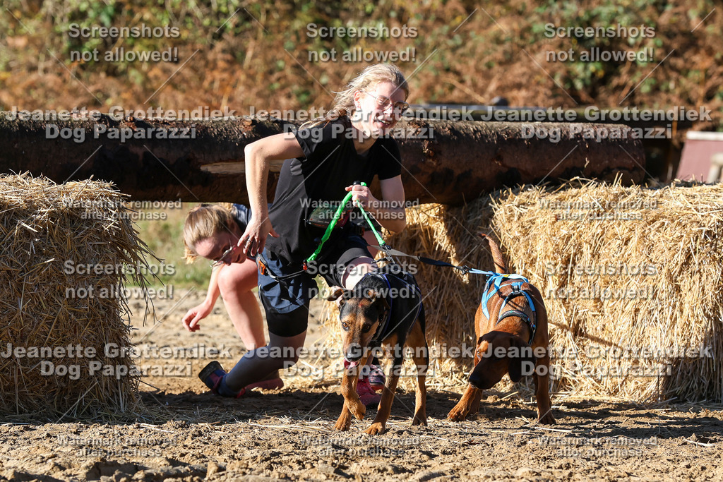 Dog Paparazzi - Strongdog 10-25-1929 | Dog Paparazzi Jeanette Grottendiek Fotografie & Videografie - Realisiert mit Pictrs.com