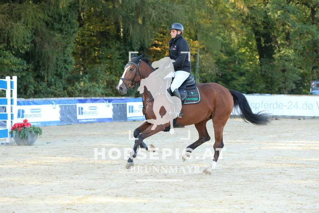 DL2Q4938 | Willkommen bei Brunnmayr - Design & Fotografie – Ihrem Spezialisten für Reitturniere und Pferdeveranstaltungen in Oberösterreich, Salzburg und Bayern! Seit über 17 Jahren sind wir leidenschaftlich dabei.