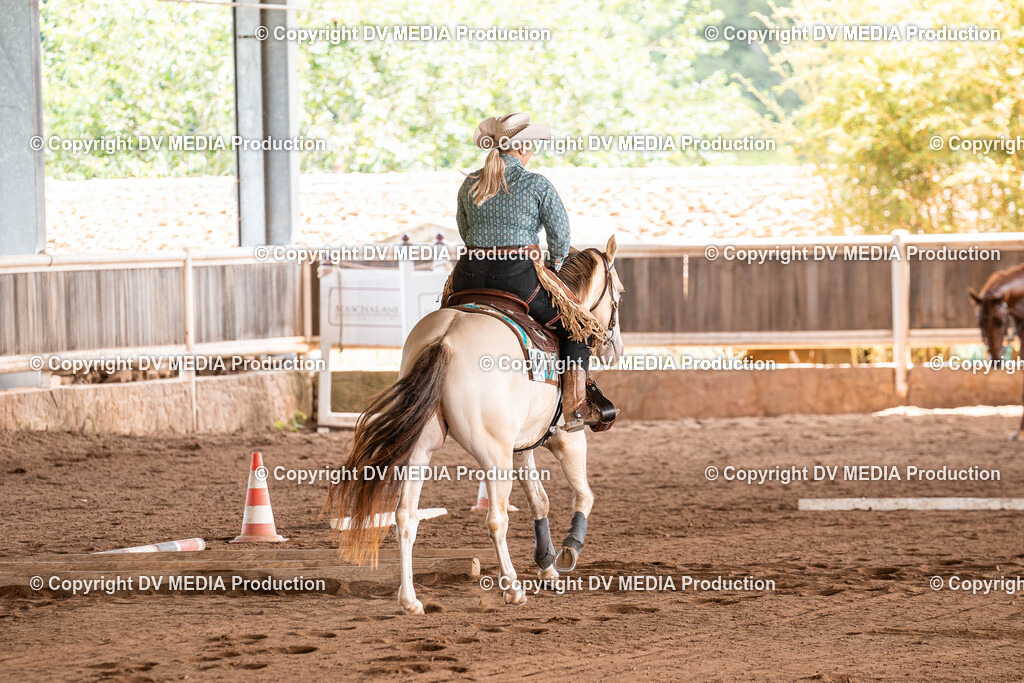 Erbach Tag 3-894 | dv-media-shop - Realisiert mit Pictrs.com